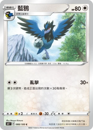 藍鴉