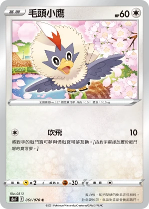 毛頭小鷹
