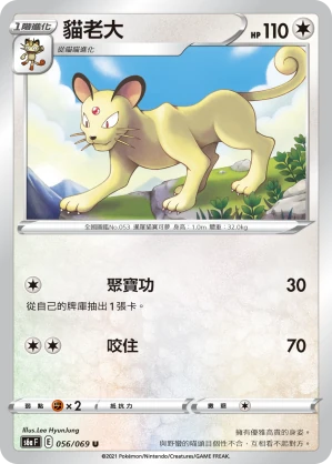 貓老大