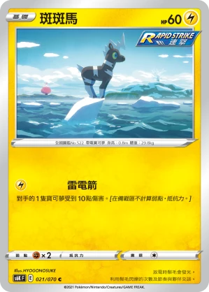 斑斑馬