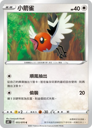 小箭雀