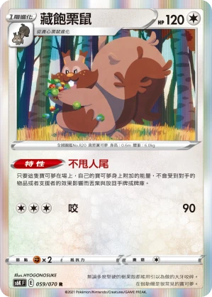 藏飽栗鼠