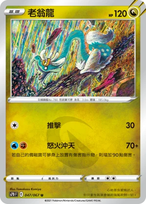 老翁龍