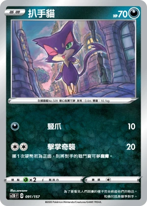 扒手貓