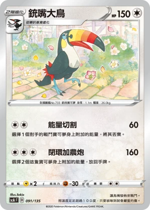 銃嘴大鳥