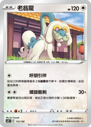 老翁龍