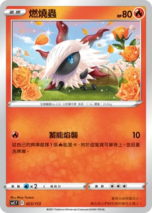 燃燒蟲