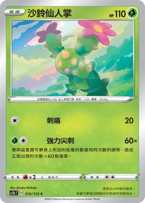 沙鈴仙人掌
