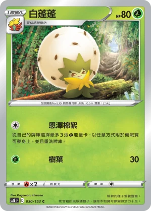 白蓬蓬