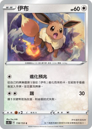 伊布