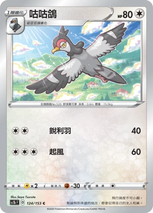 咕咕鴿