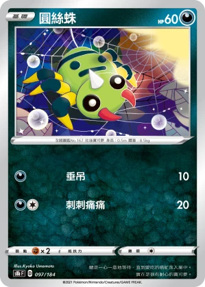 圓絲蛛