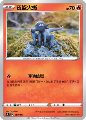 夜盜火蜥
