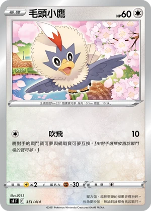 毛頭小鷹