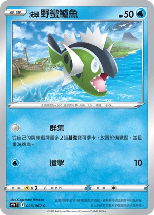 洗翠 野蠻鱸魚