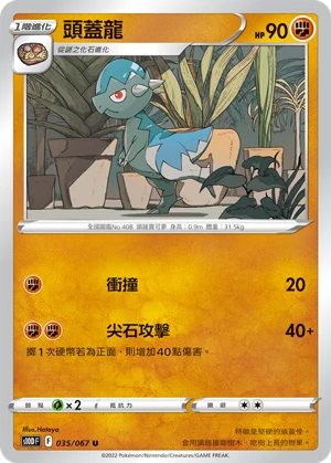 頭蓋龍