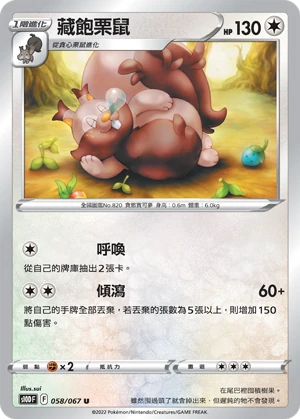藏飽栗鼠