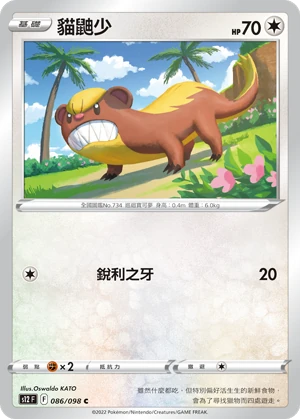 貓鼬少