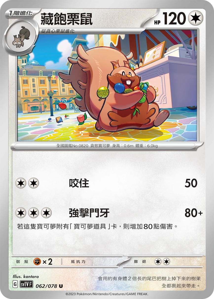 藏飽栗鼠