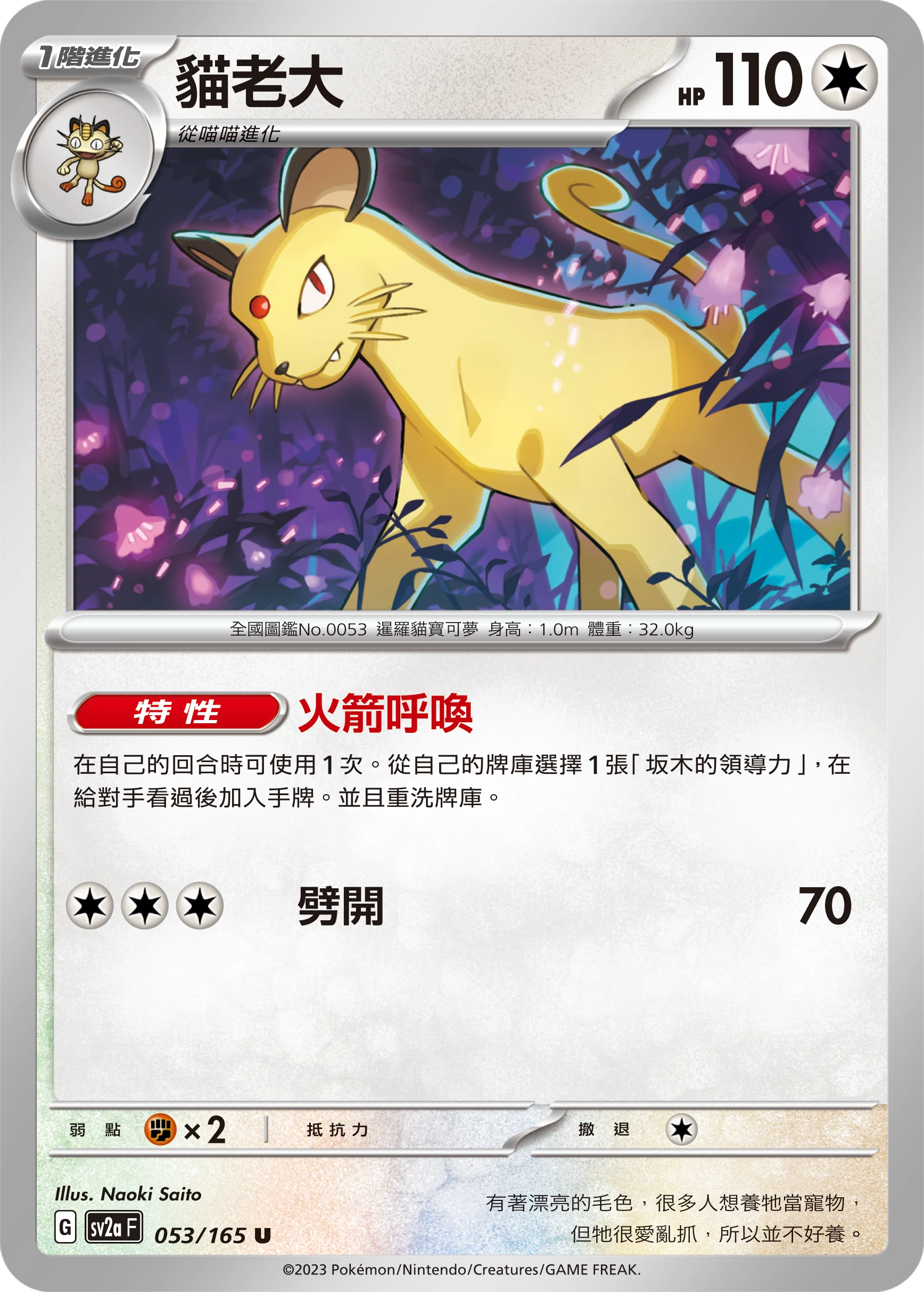 貓老大