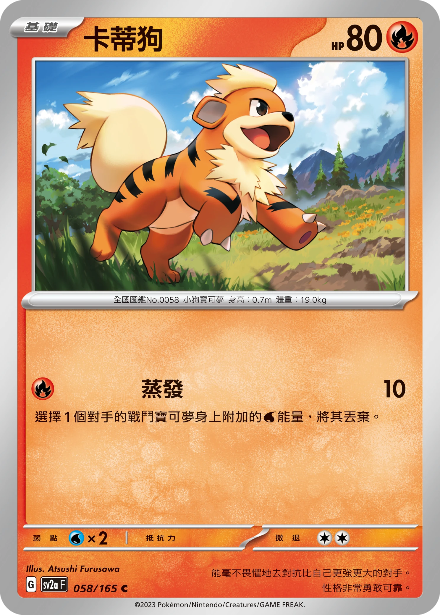 卡蒂狗