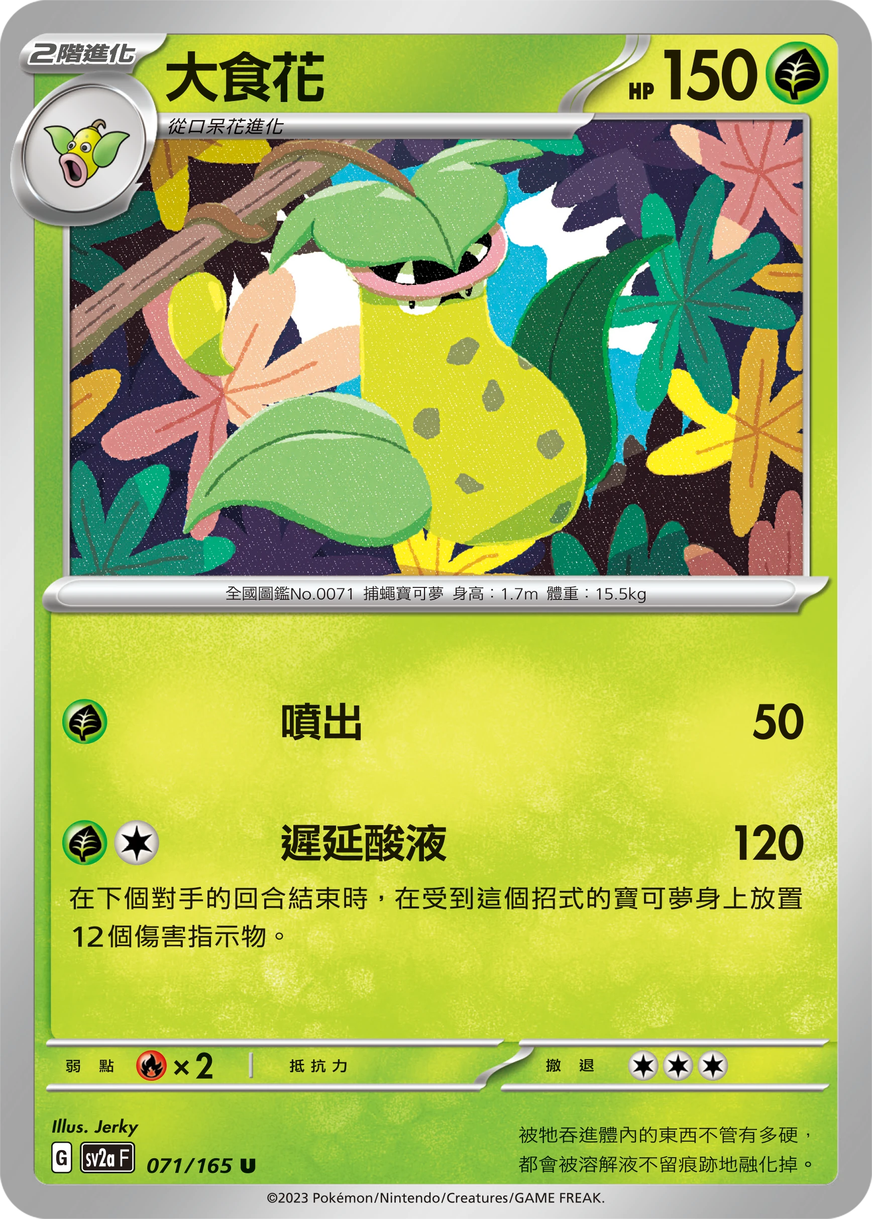 大食花