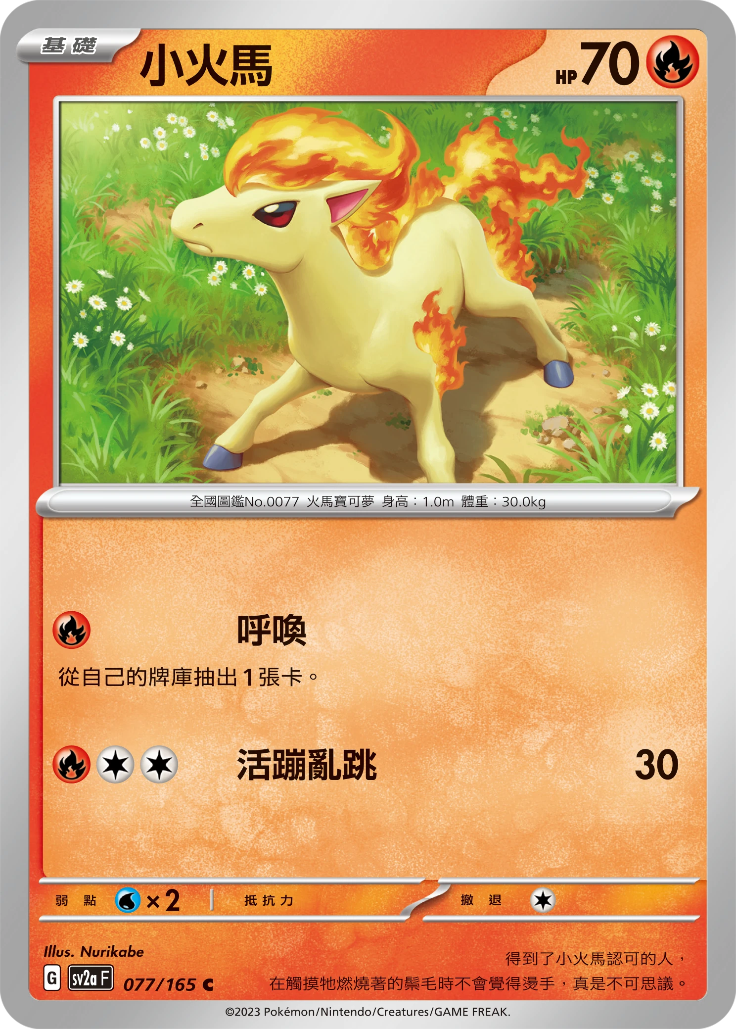 小火馬