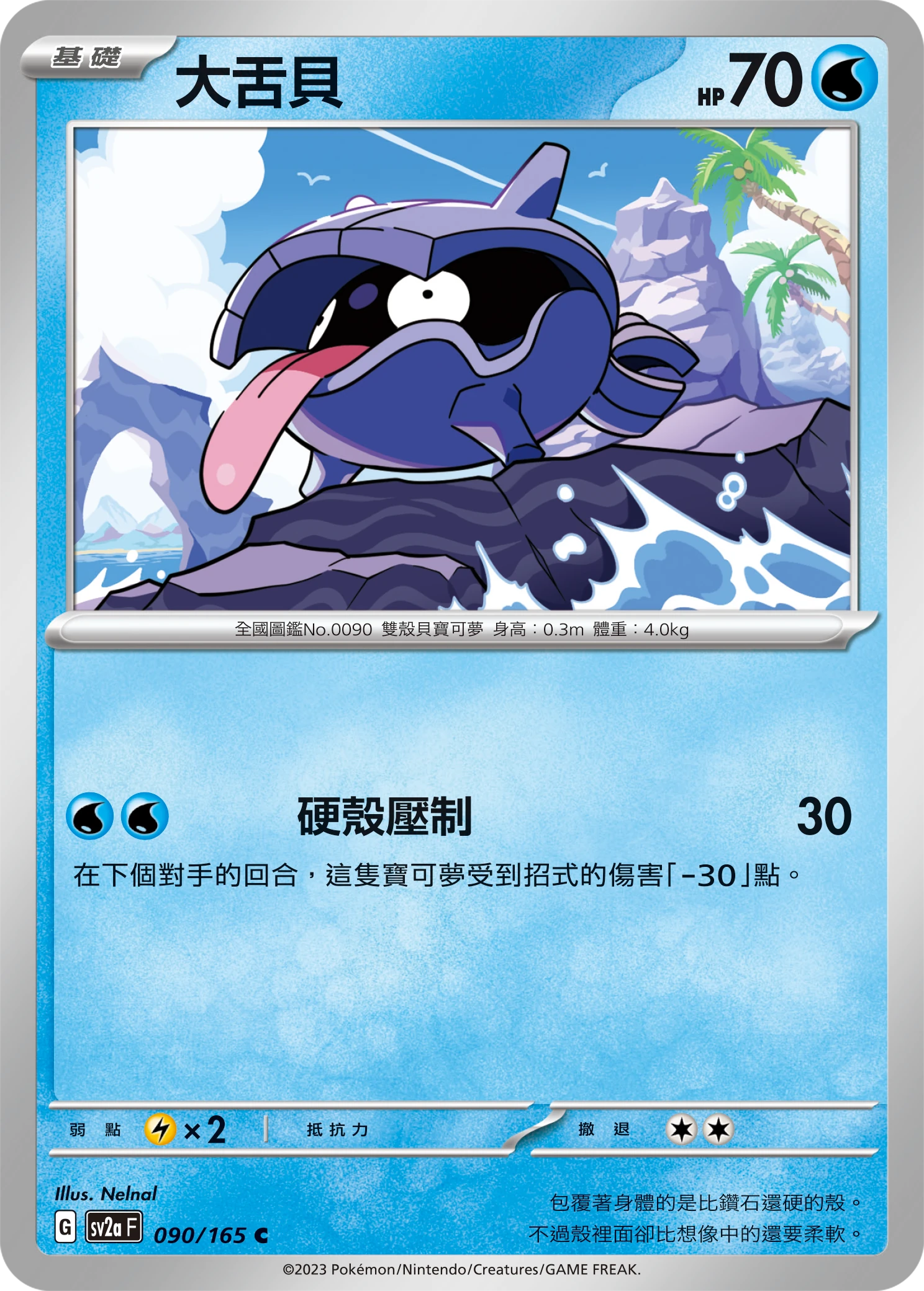 大舌貝