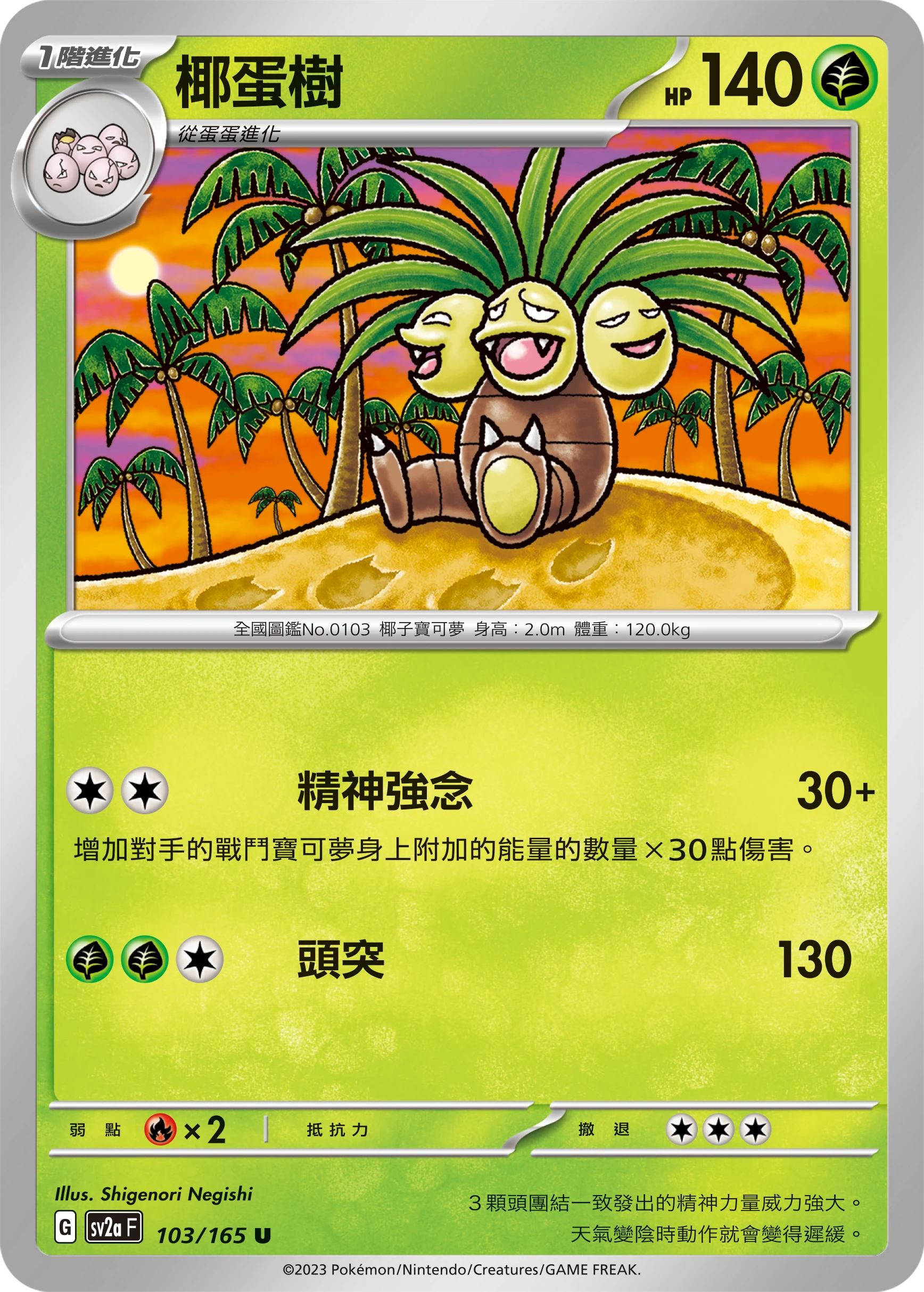 椰蛋樹