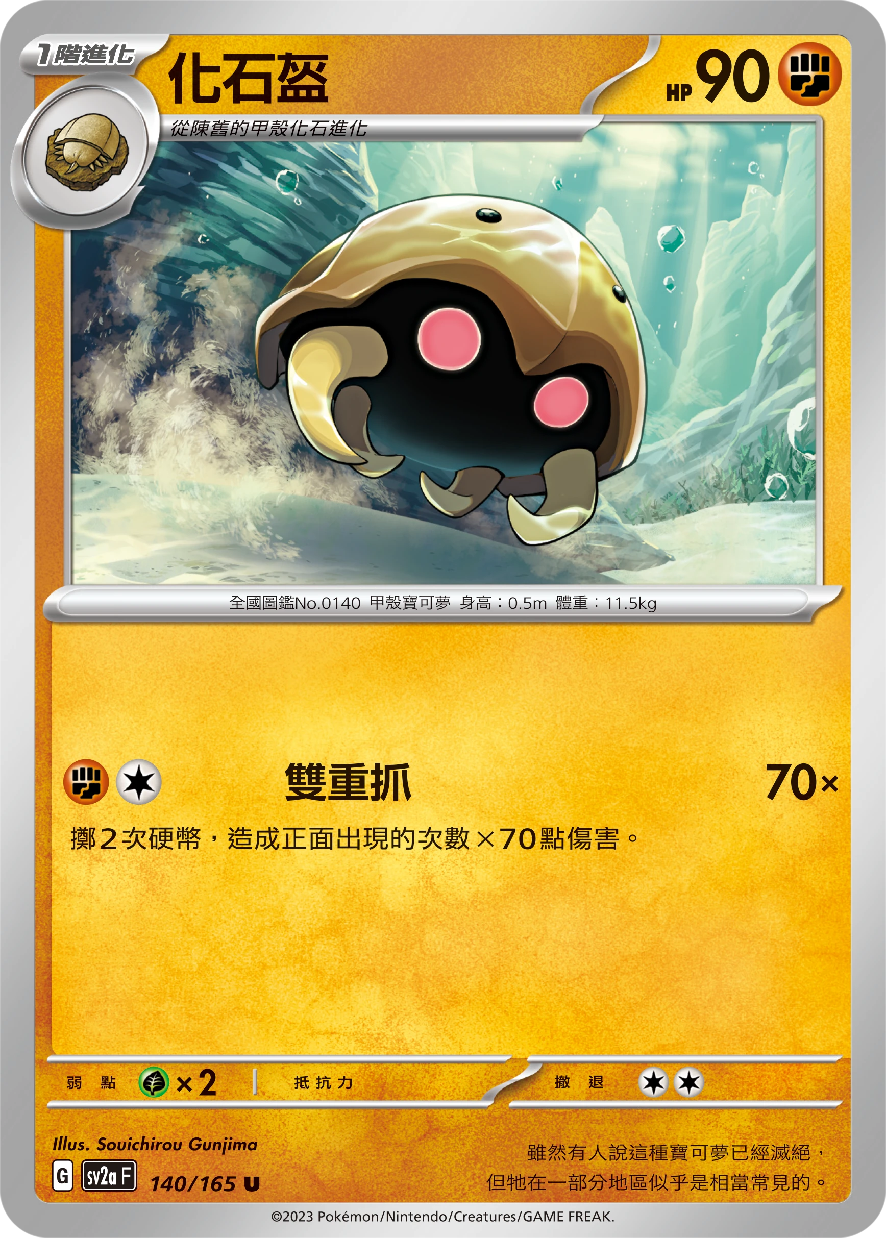 化石盔