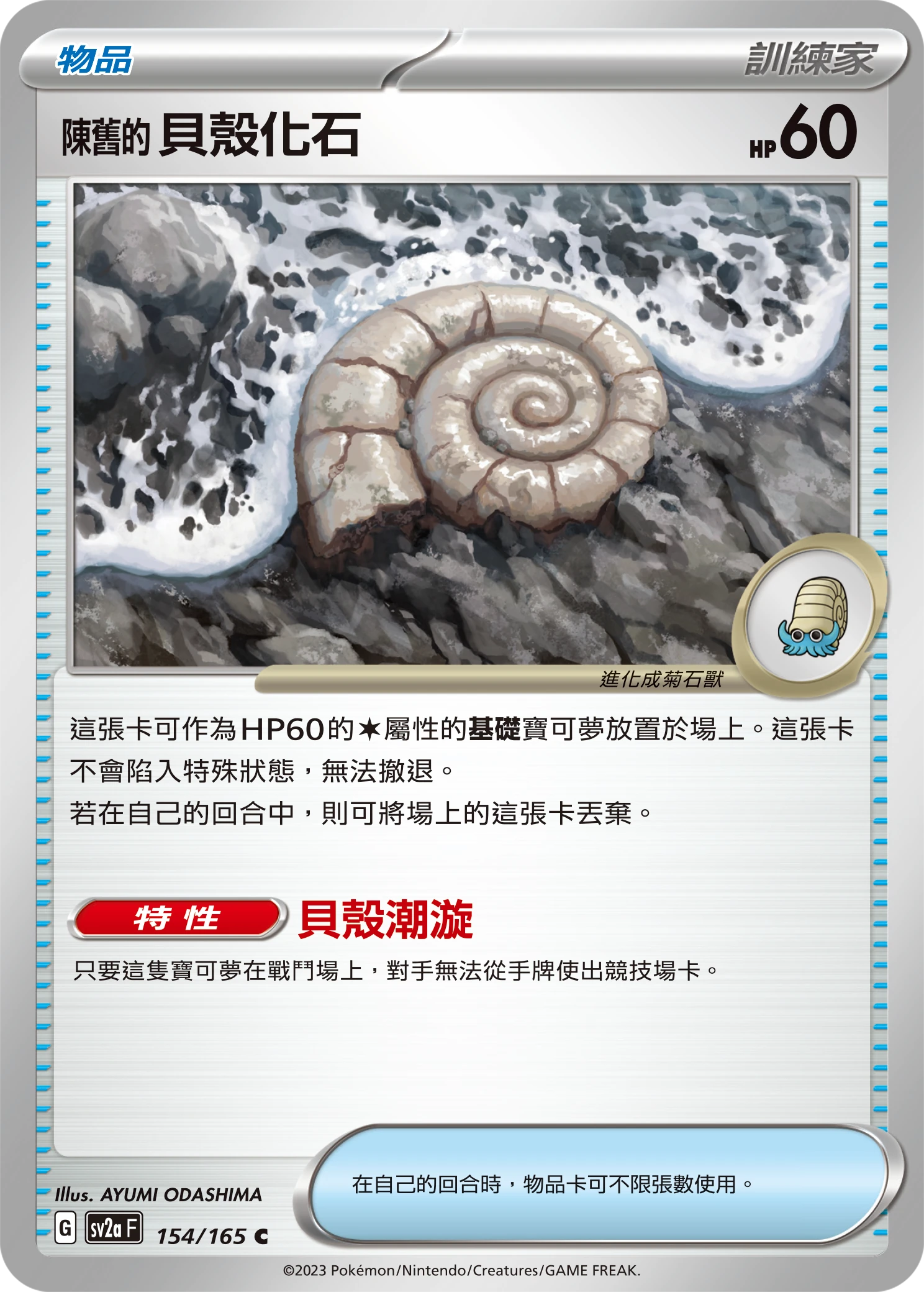 陳舊的貝殼化石