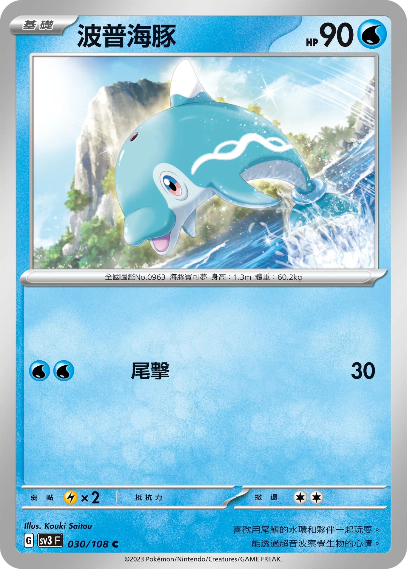 波普海豚