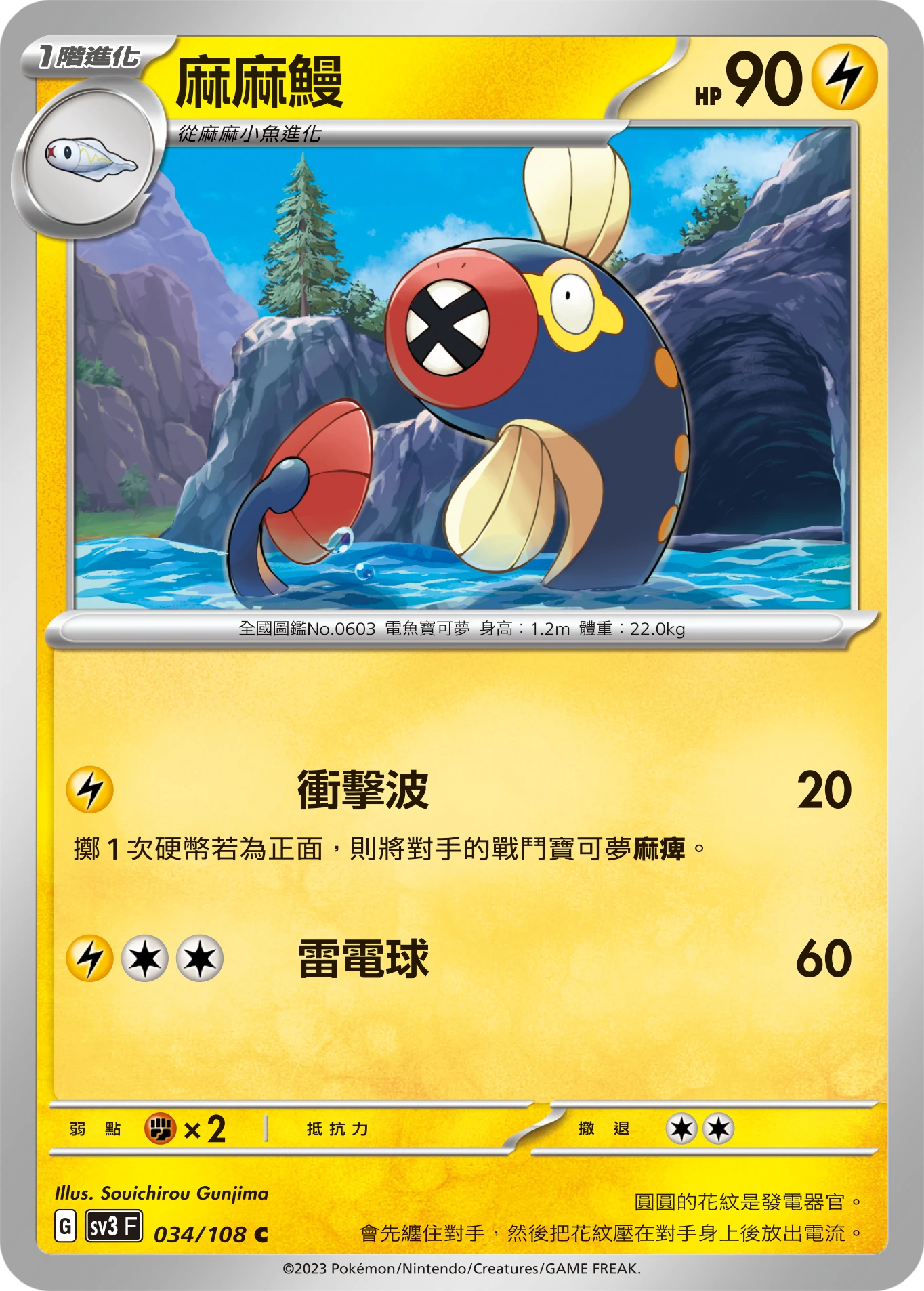 麻麻鰻