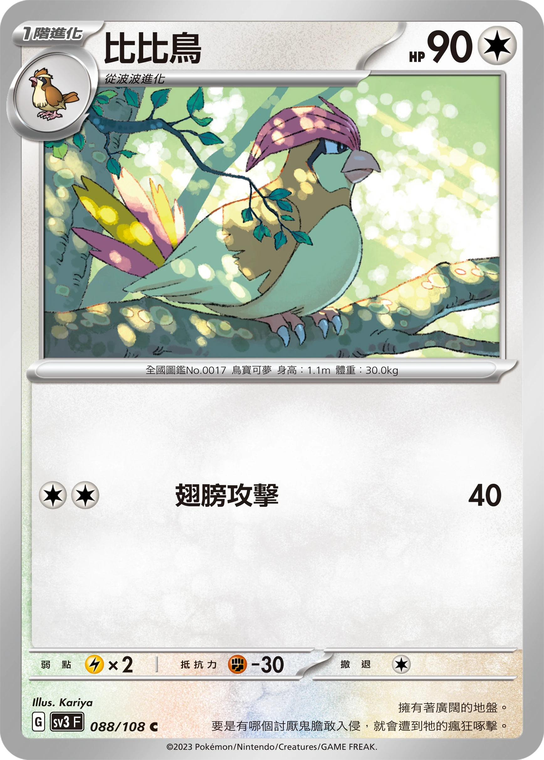 比比鳥