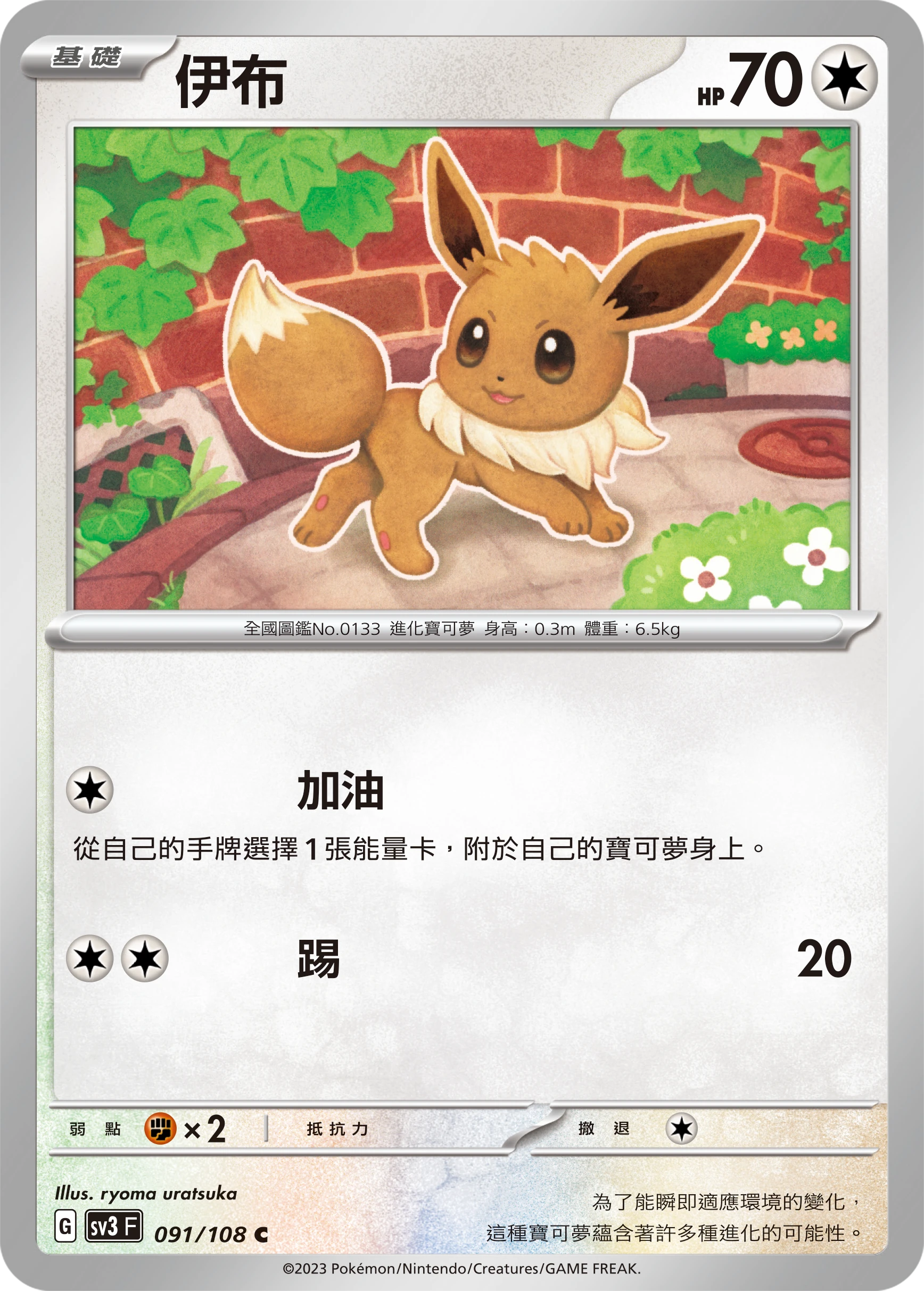 伊布