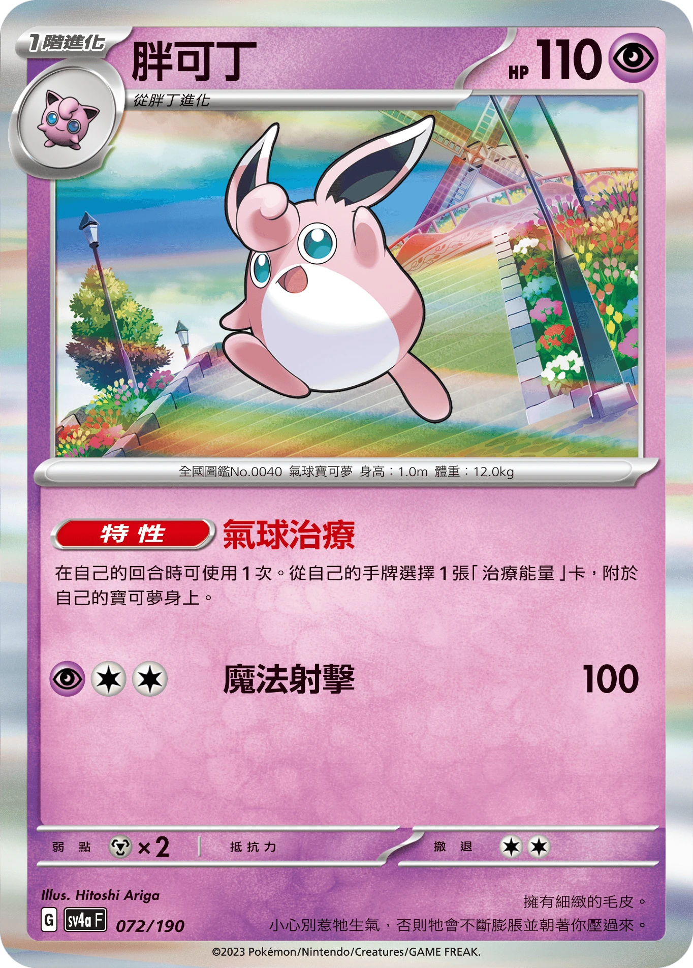胖可丁