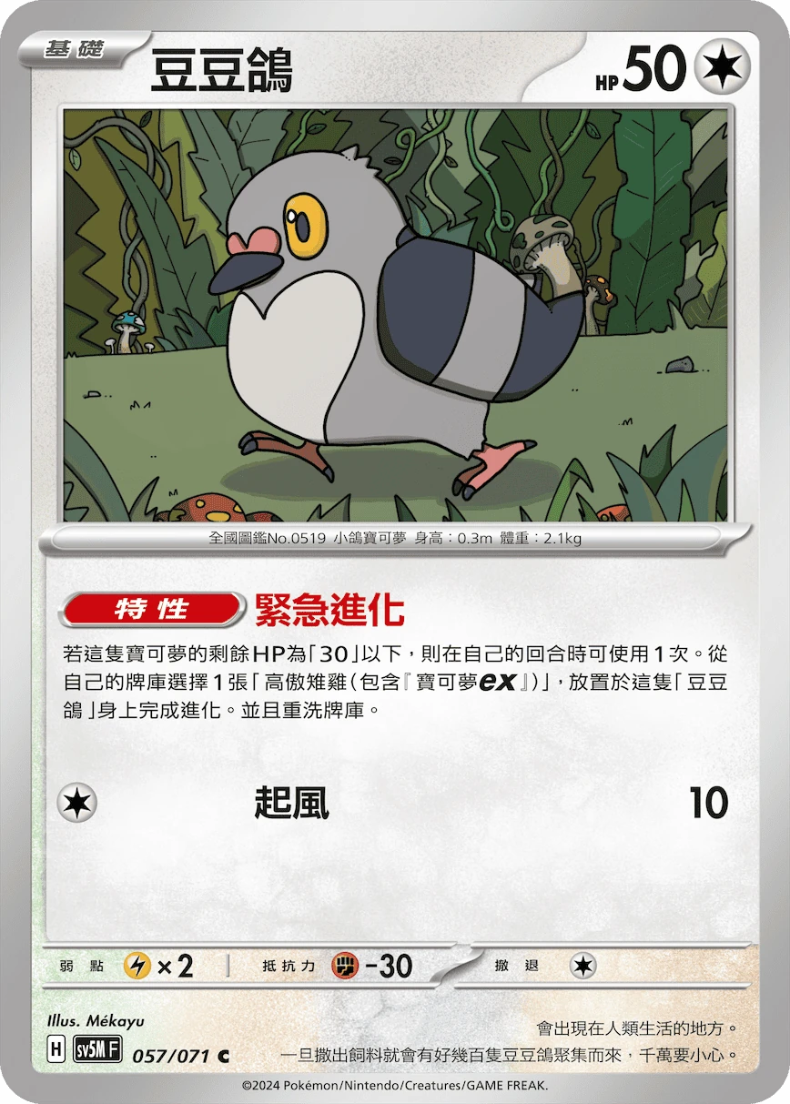 豆豆鴿
