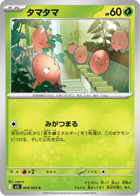 タマタマ