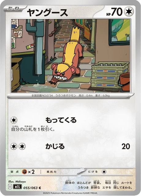 ヤングース