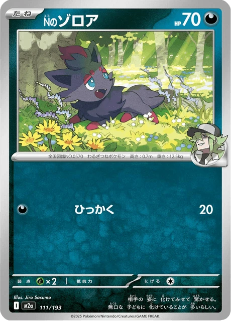 Nのゾロア 111/193