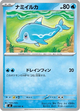ナミイルカ