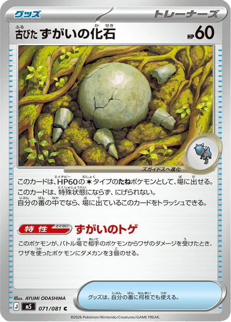 古びたずがいの化石 071/81