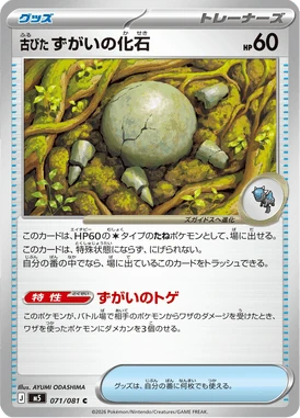古びたずがいの化石