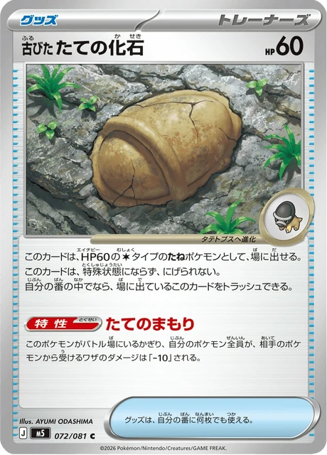 古びたたての化石 072/81