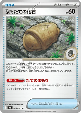 古びたたての化石