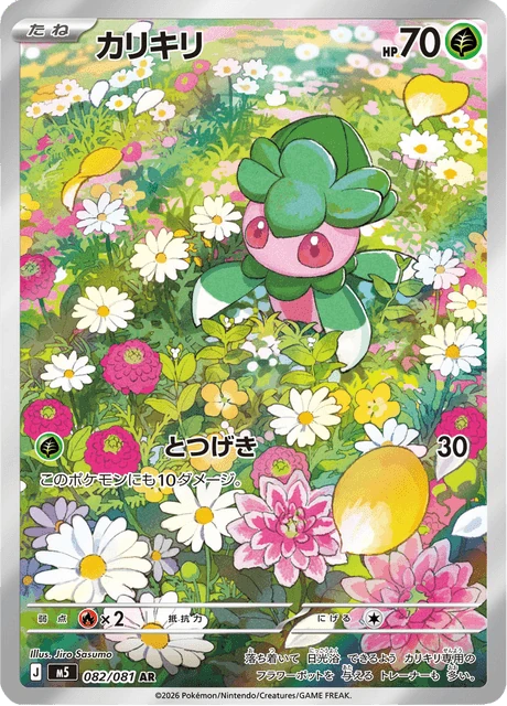 カリキリ 082/81