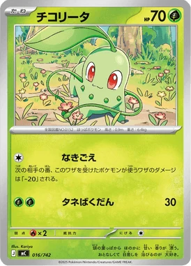 チコリータ