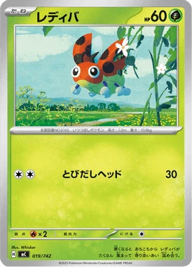 レディバ