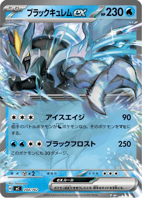 ブラックキュレムex 204/742
