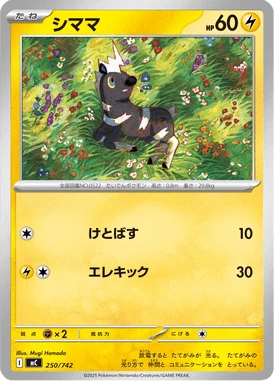 シママ